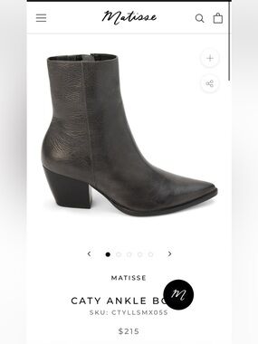 NWT Matisse Caty Boot in Smoke - 9.5